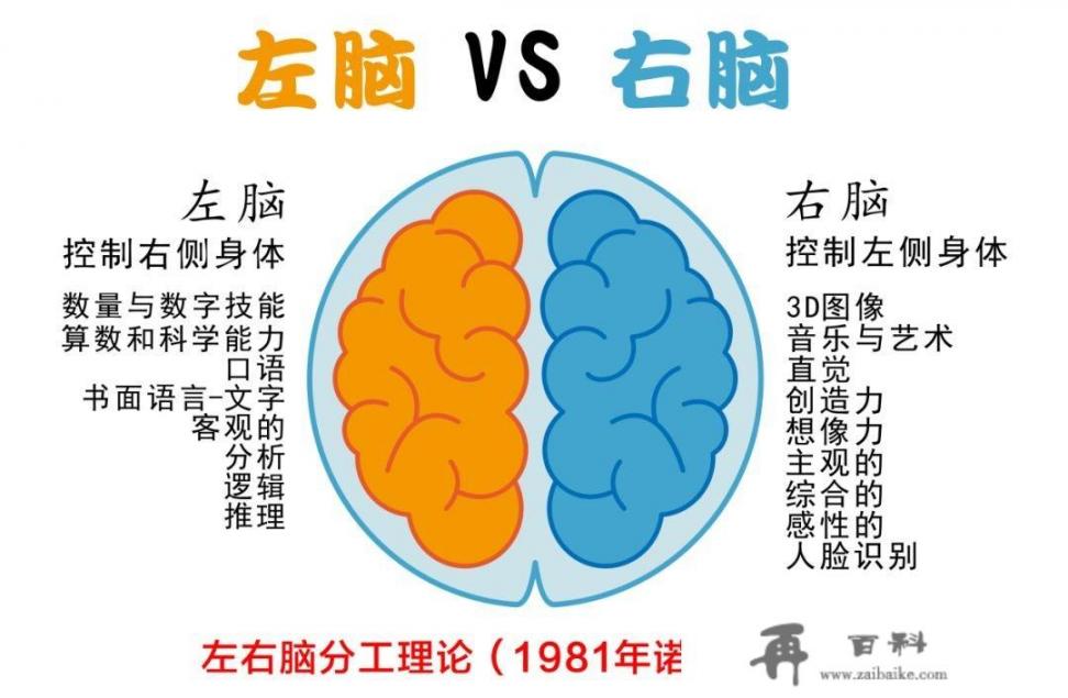 艺术天赋，观察点有哪些_艺术观察的方法