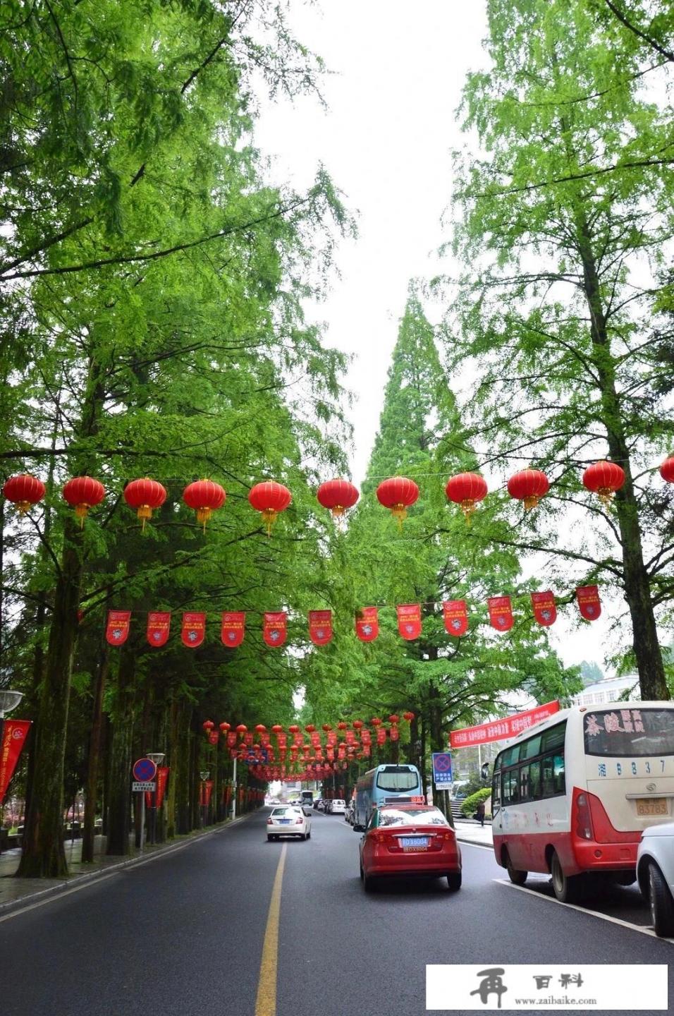 去过井冈山的朋友们，能否谈下感受_暑假去旅游，两个女生一起，希望去不是太热的地方，有推荐吗