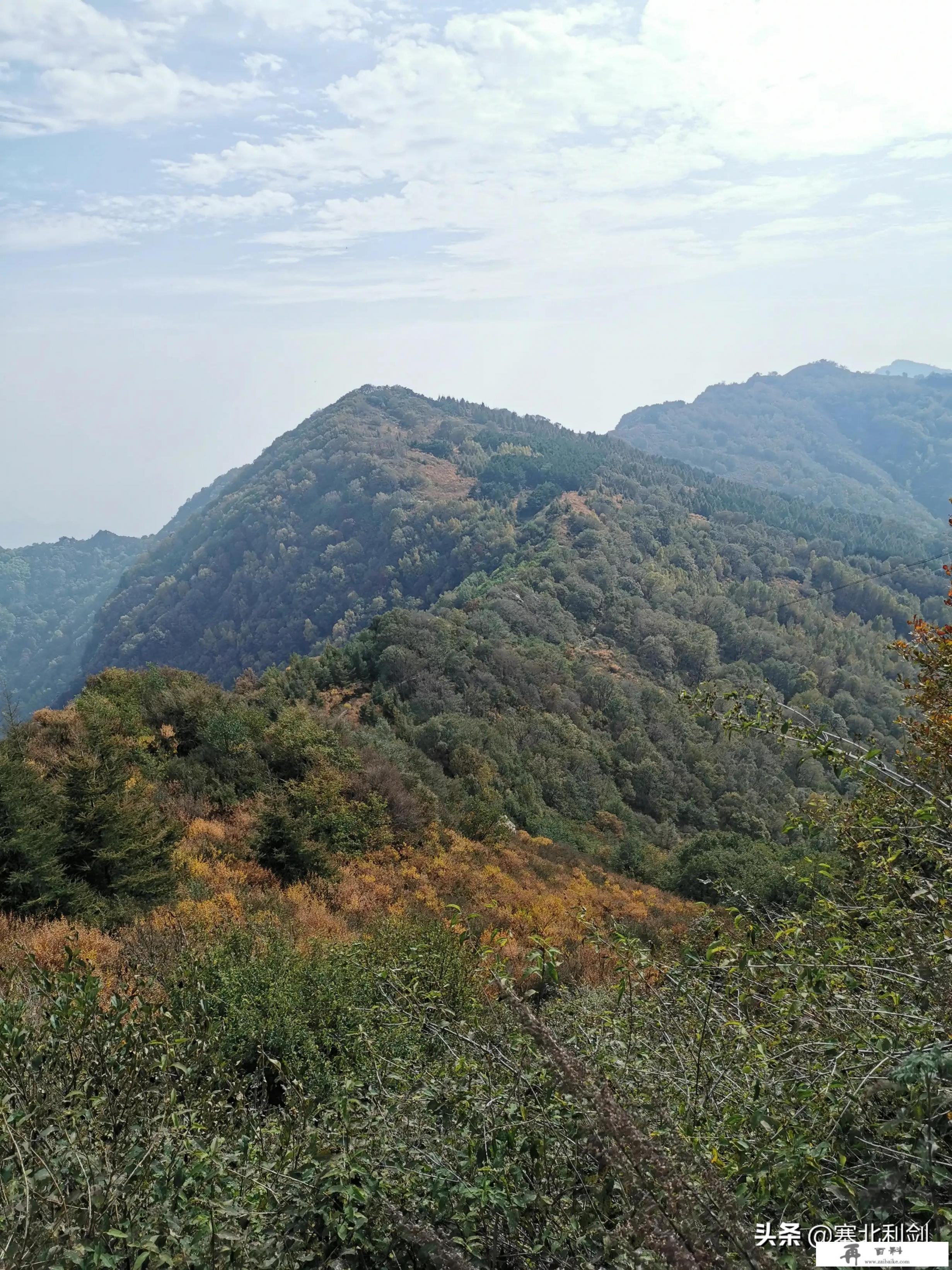 妈妈去九寨沟被导游带去买银器，花了将近8000元，回来跟我说我一听就知道被坑了，难道只能算了吗_大家去旅游，会从哪个渠道，哪个平台了解旅游信息