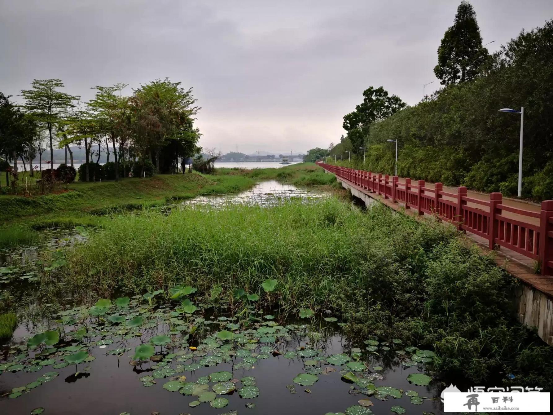 你希望从旅游的过程中，收获些什么_如果新冠肺炎结束了要不要准备旅行