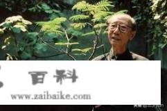 溥仪的弟媳是谁？她有什么风流韵事_老的言情小说有哪些推荐