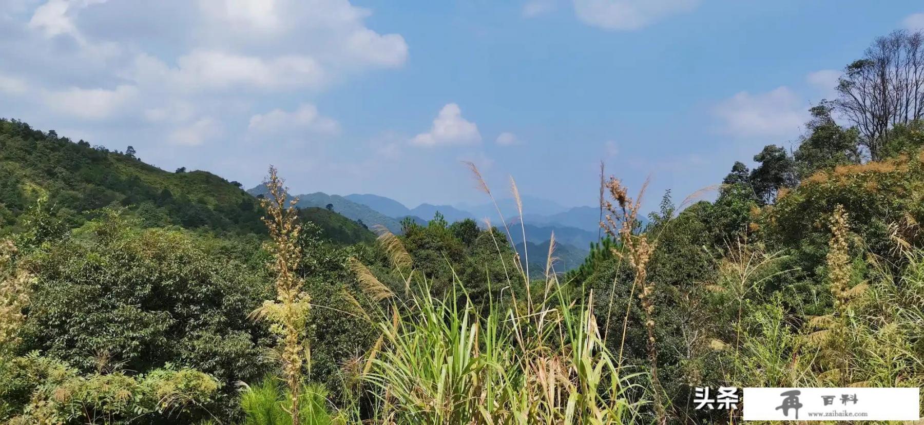 疫情期间，想出去旅行，你会选择什么方式出行_旅游和防疫