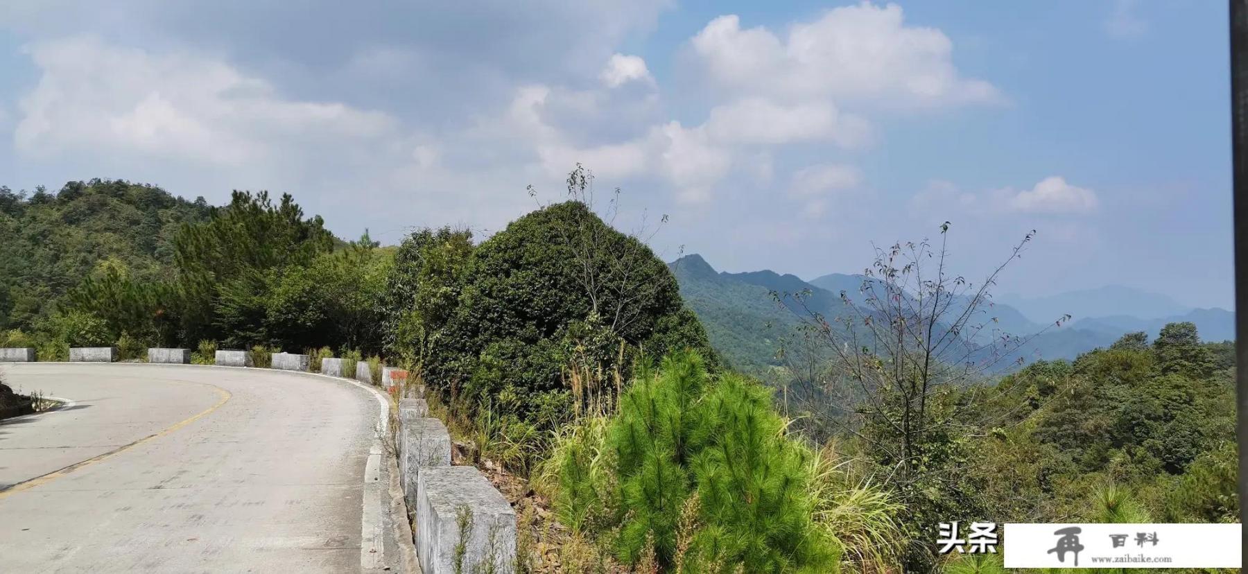 疫情期间，想出去旅行，你会选择什么方式出行_旅游和防疫