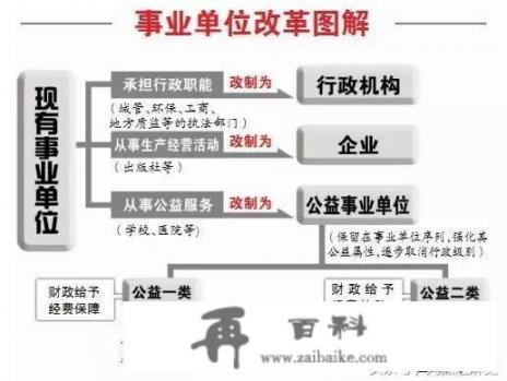 事业单位编制的分类有哪些_为什么中国小学数学教育要分除和除以的区别