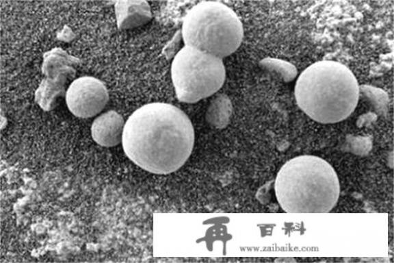 洞察号拍到的火星上的“蘑菇”到底是什么