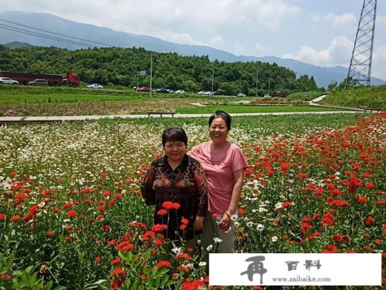 奔赴花海的文案