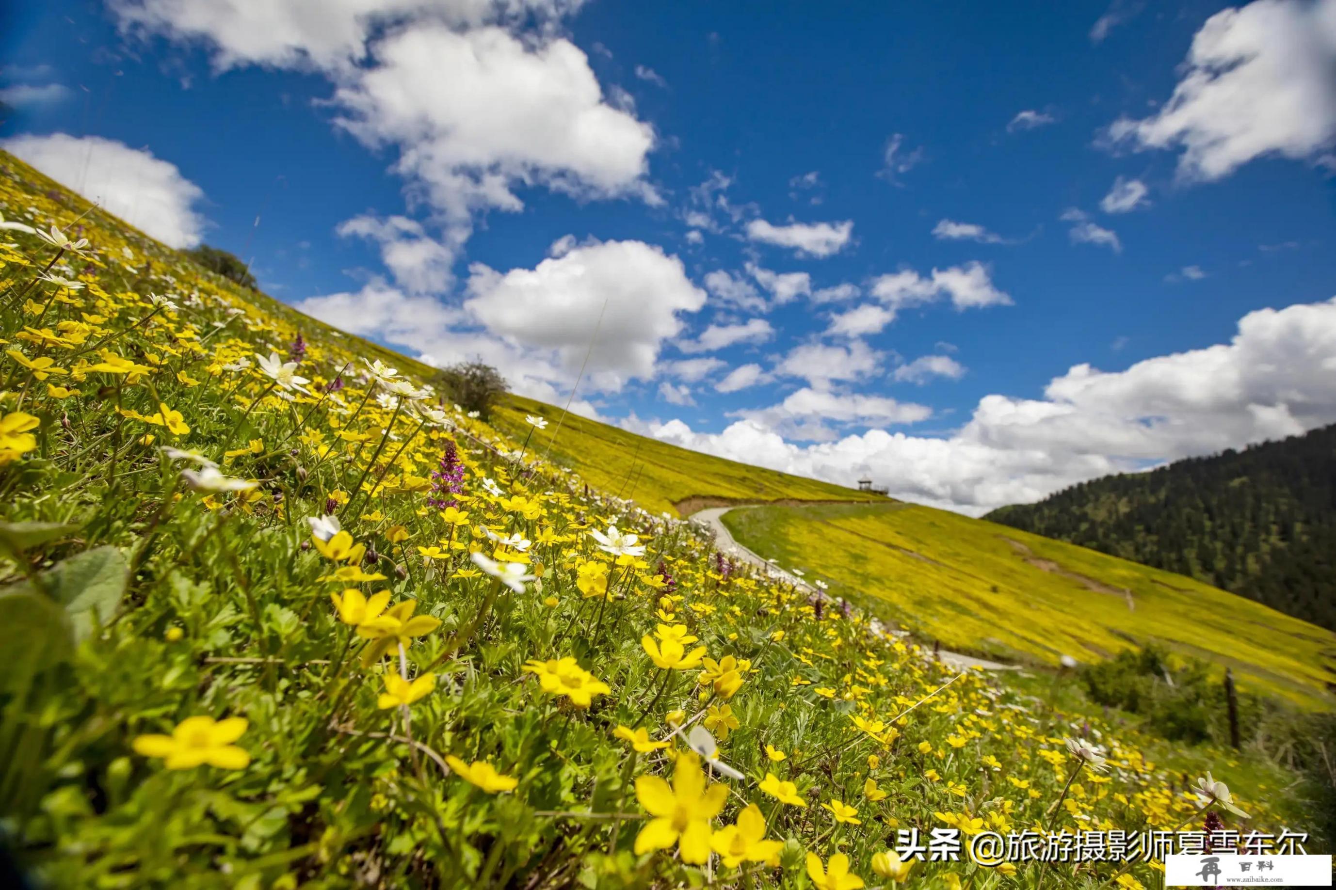 夏天适合去哪里旅游（国内）