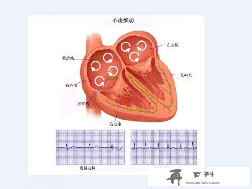 宝宝可以吃龟苓膏吗