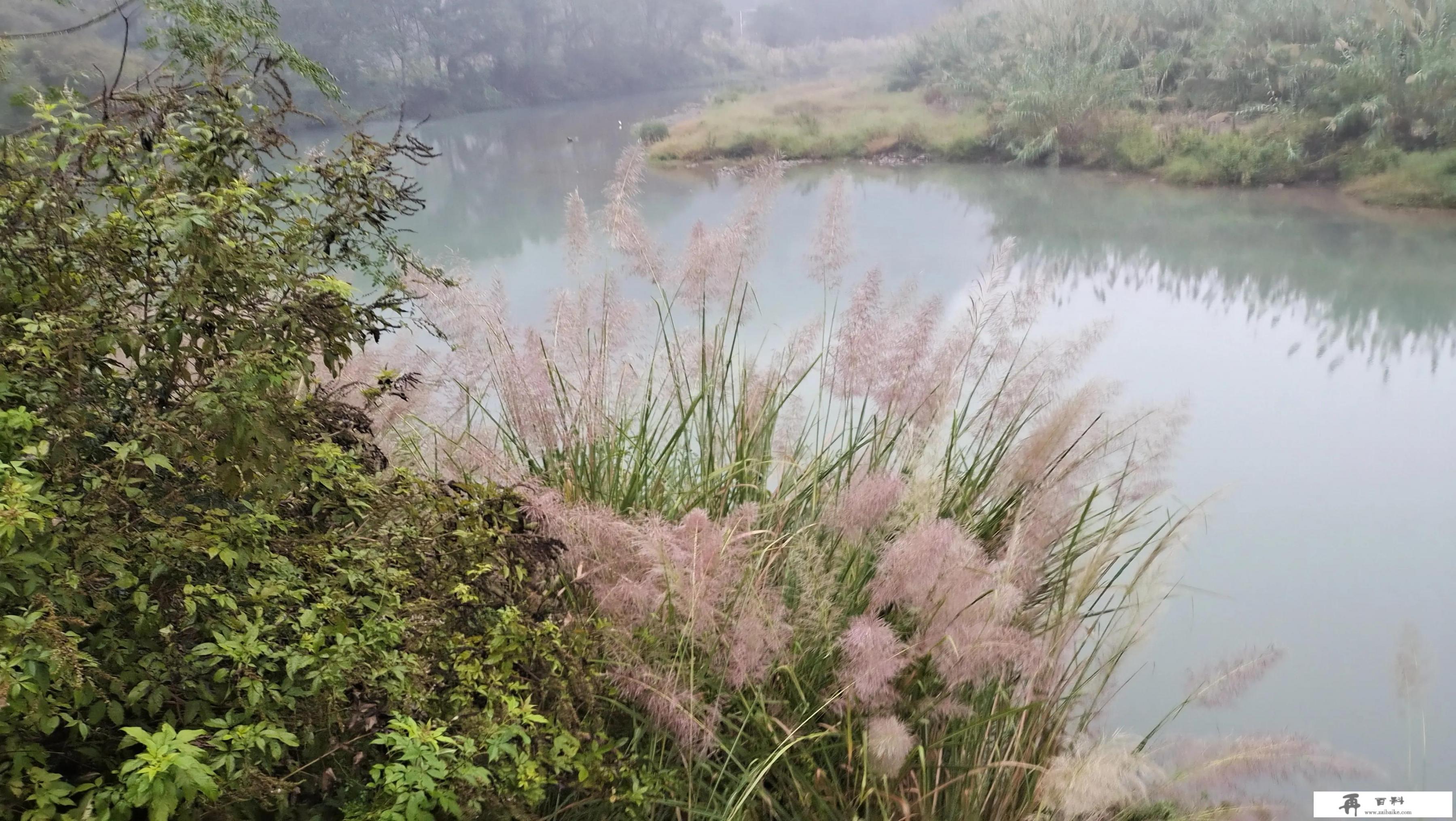 你游玩过的地方有没有记忆最深刻，还想要去，那个地方是哪里