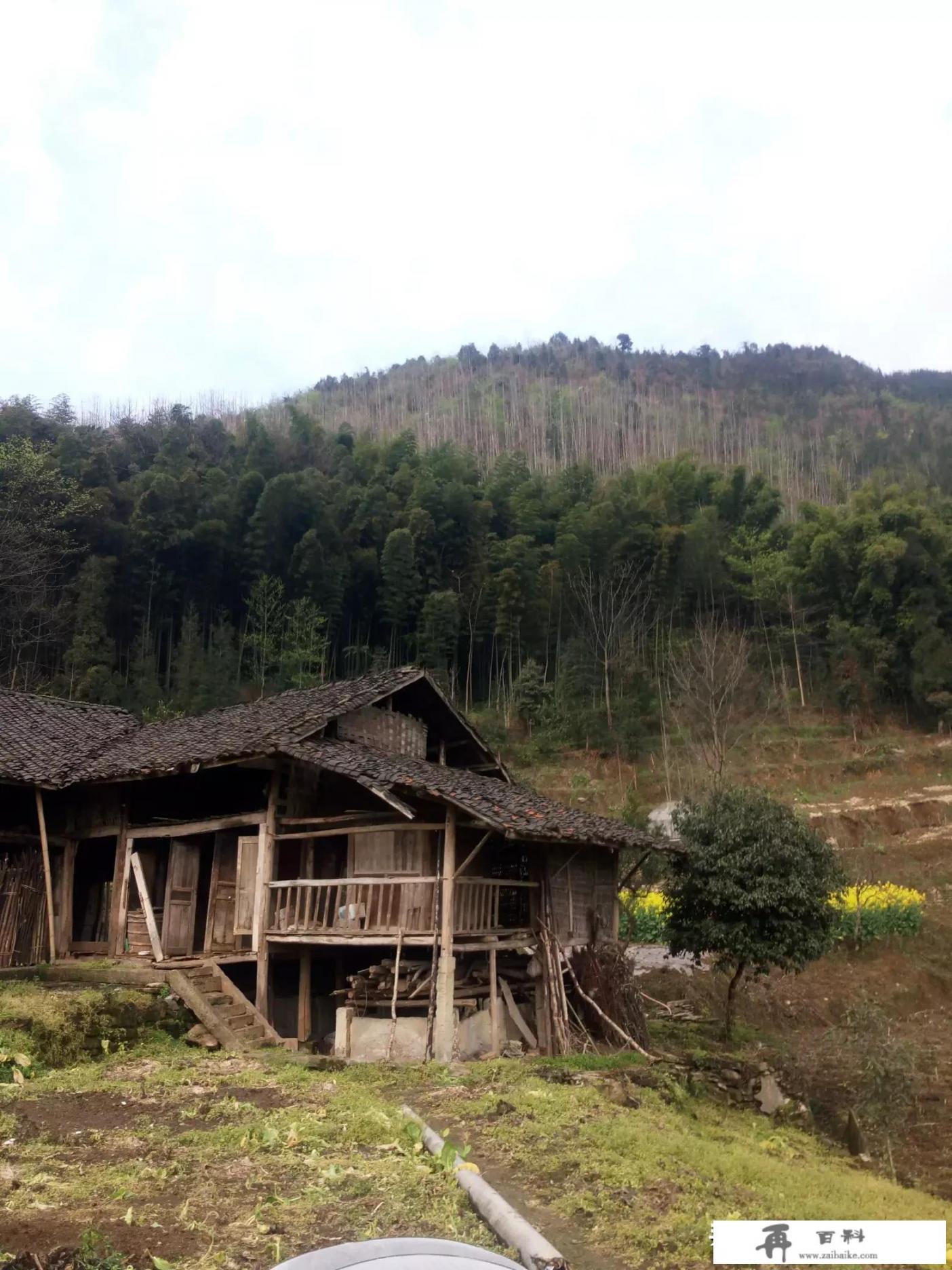 文旅融合趋势下，旅游文创产品如何开发与运营