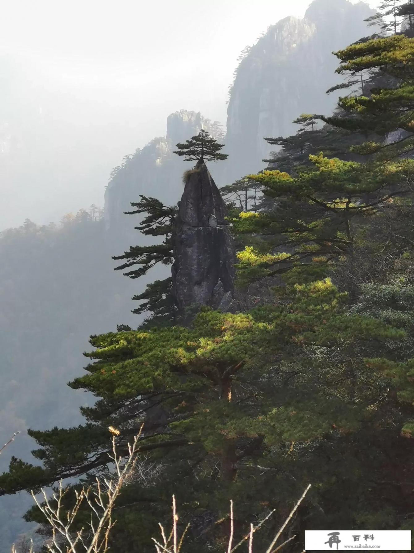 黄山玉屏索道因故障停运致游客滞留，景区发布处置情况说明, 你怎么看