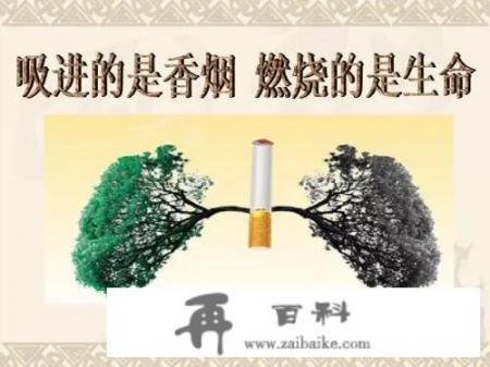 绿霉菌有毒吗