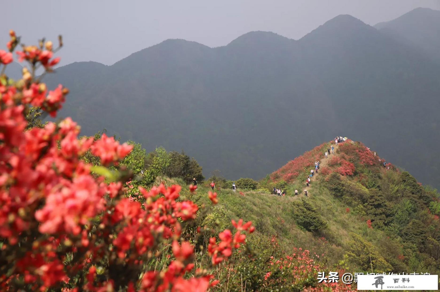 想出去旅游散心，钱少一个人去哪比较合适呢