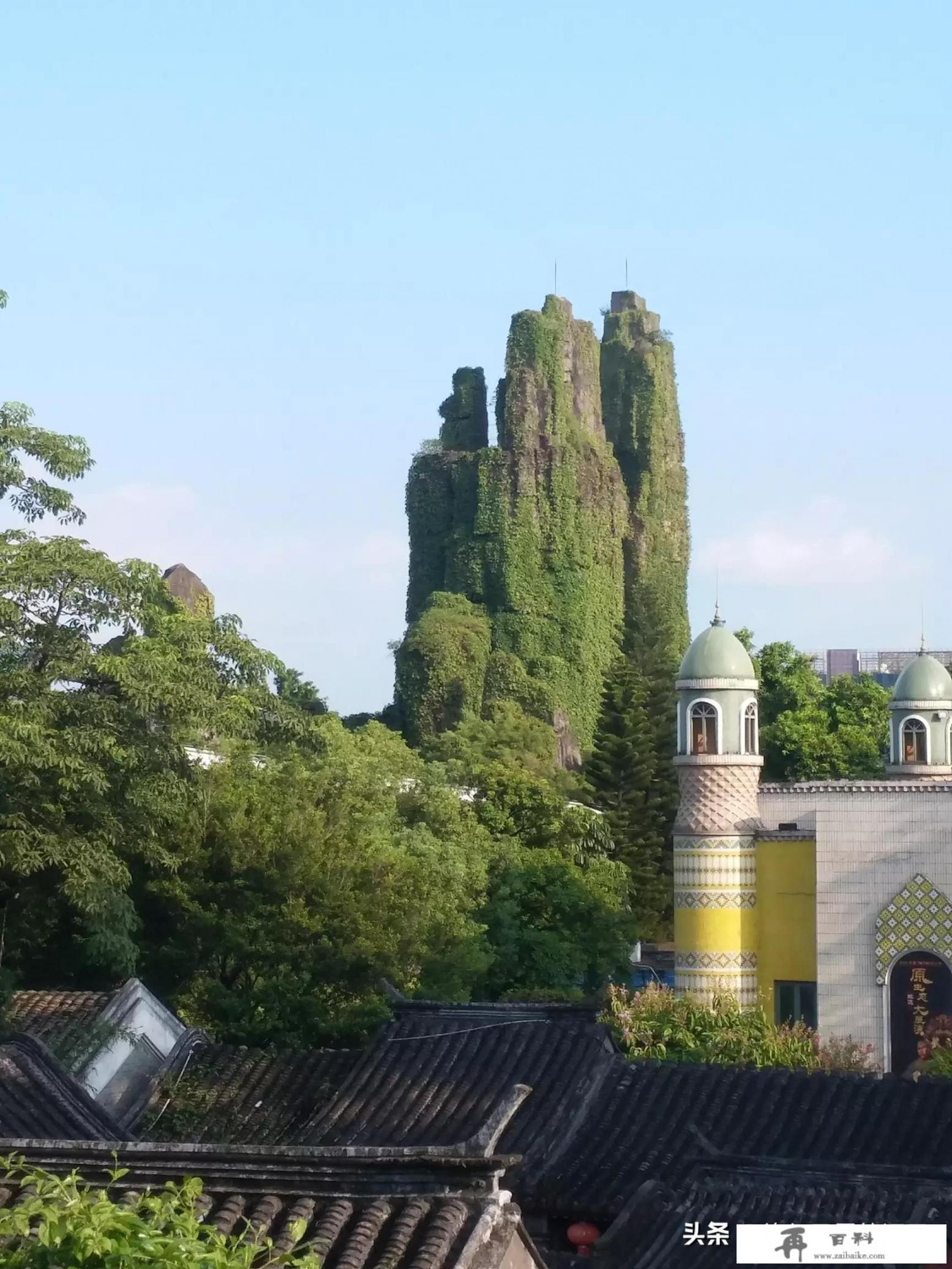 一个女人跟陌生人出去旅游是什么想法