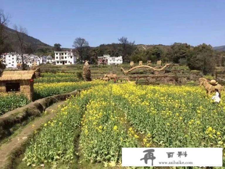 你觉得一年四季哪个季节最适合旅行