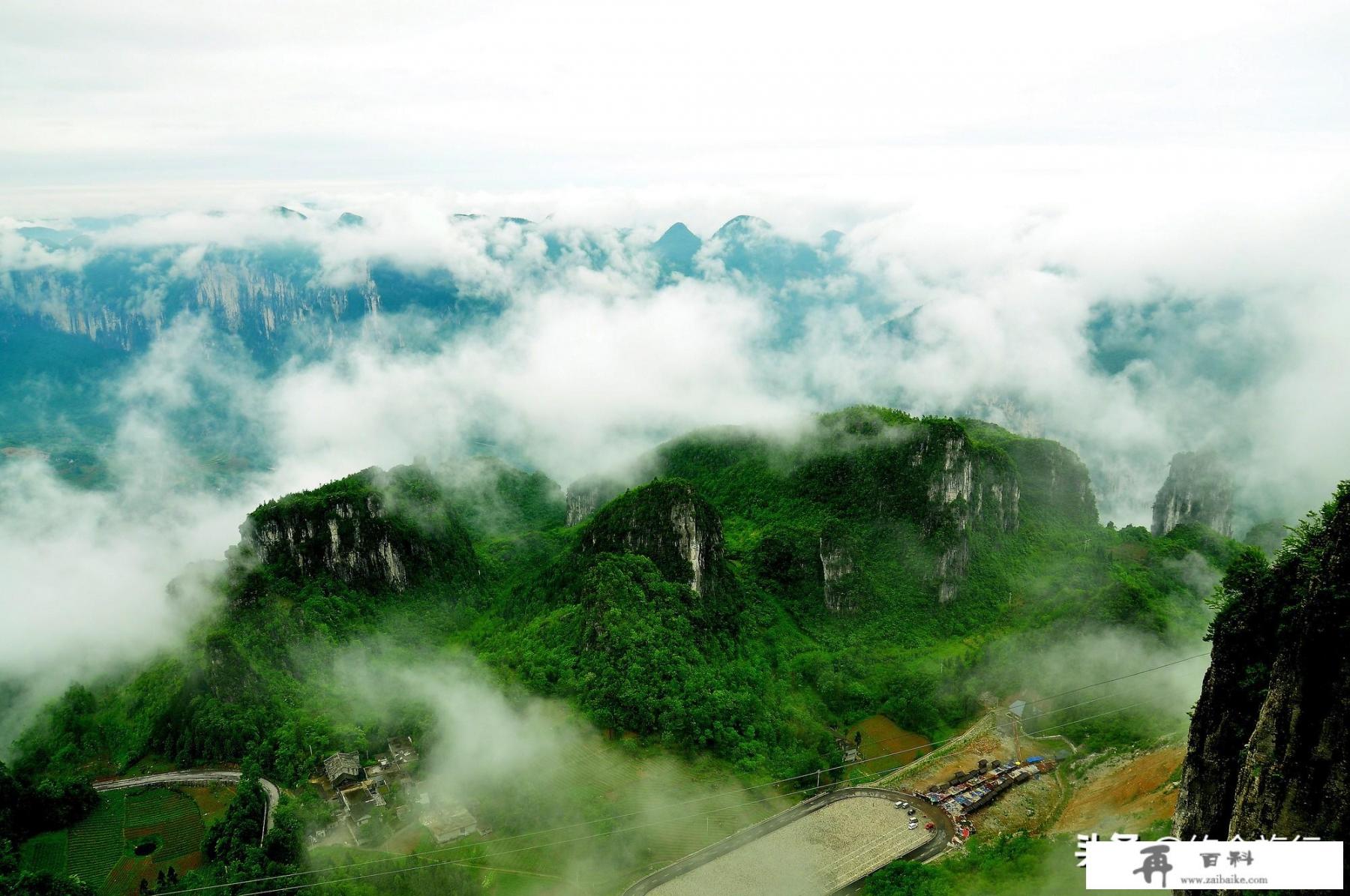 老年人旅游免票政策