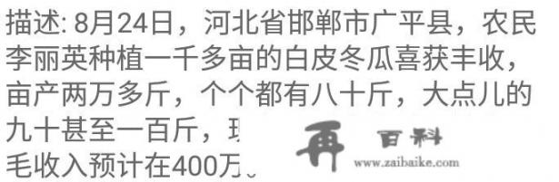 邯郸农家大姐培育出冬季‘巨无霸’南瓜，重达90至100公斤，预计毛收入高达400万元