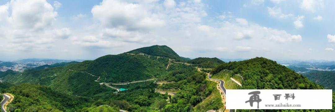 深圳有哪些可以在周末去逛逛的免费景点？