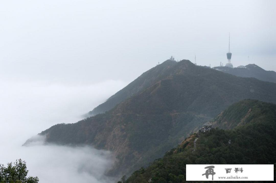 深圳有哪些可以在周末去逛逛的免费景点？