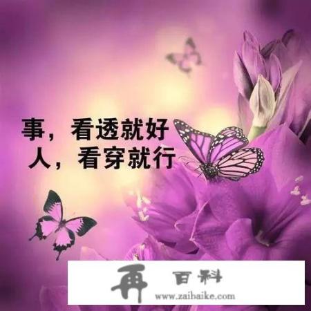 网上写新诗，景物诗，感悟诗，爱情诗，哪一种内容更受欢迎？