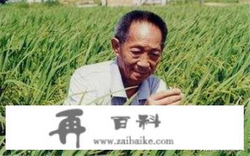 为明星提供旅游服务是种怎样的体验？