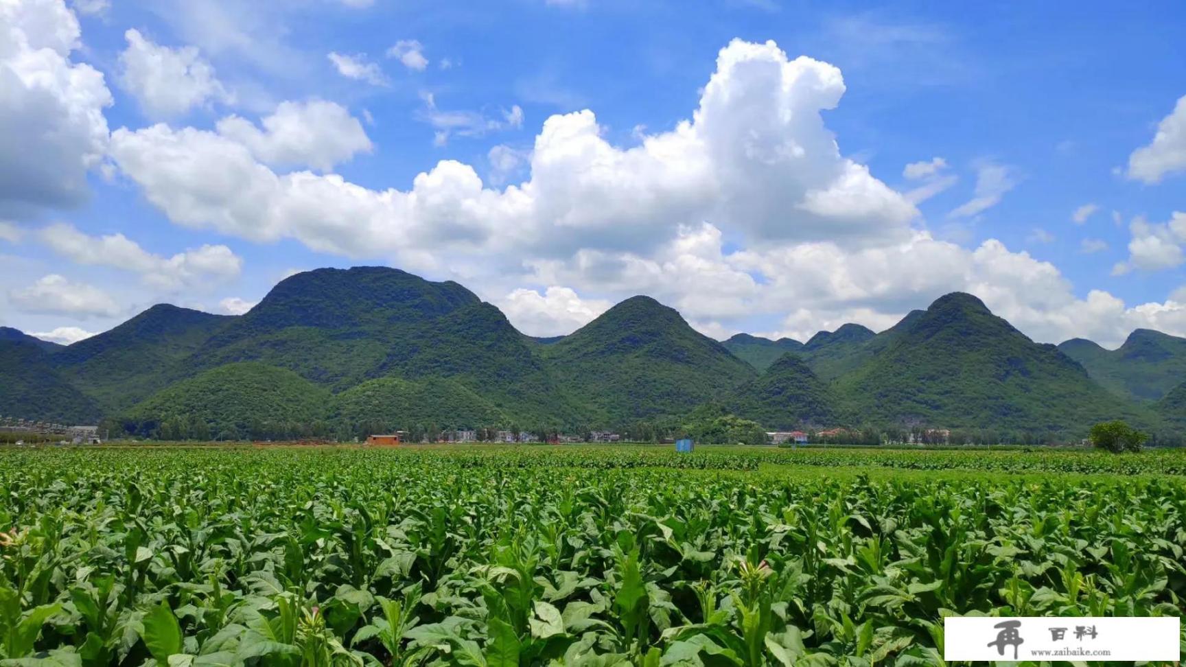 2022年春节，想知道现在适合去哪里旅游