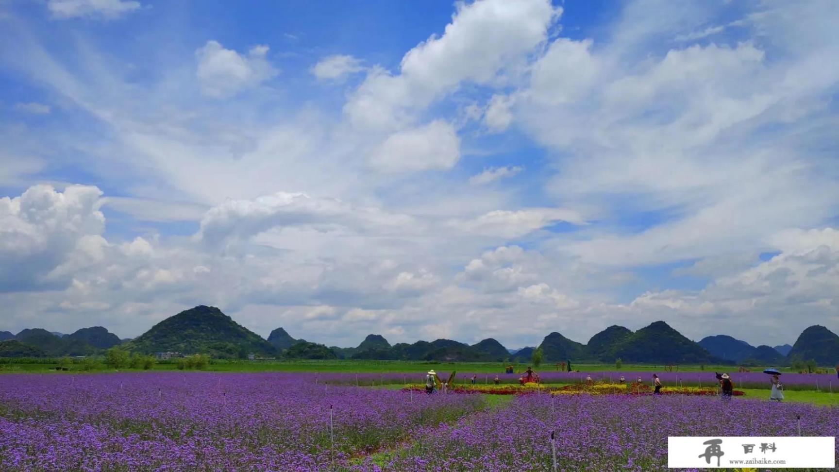 2022年春节，想知道现在适合去哪里旅游