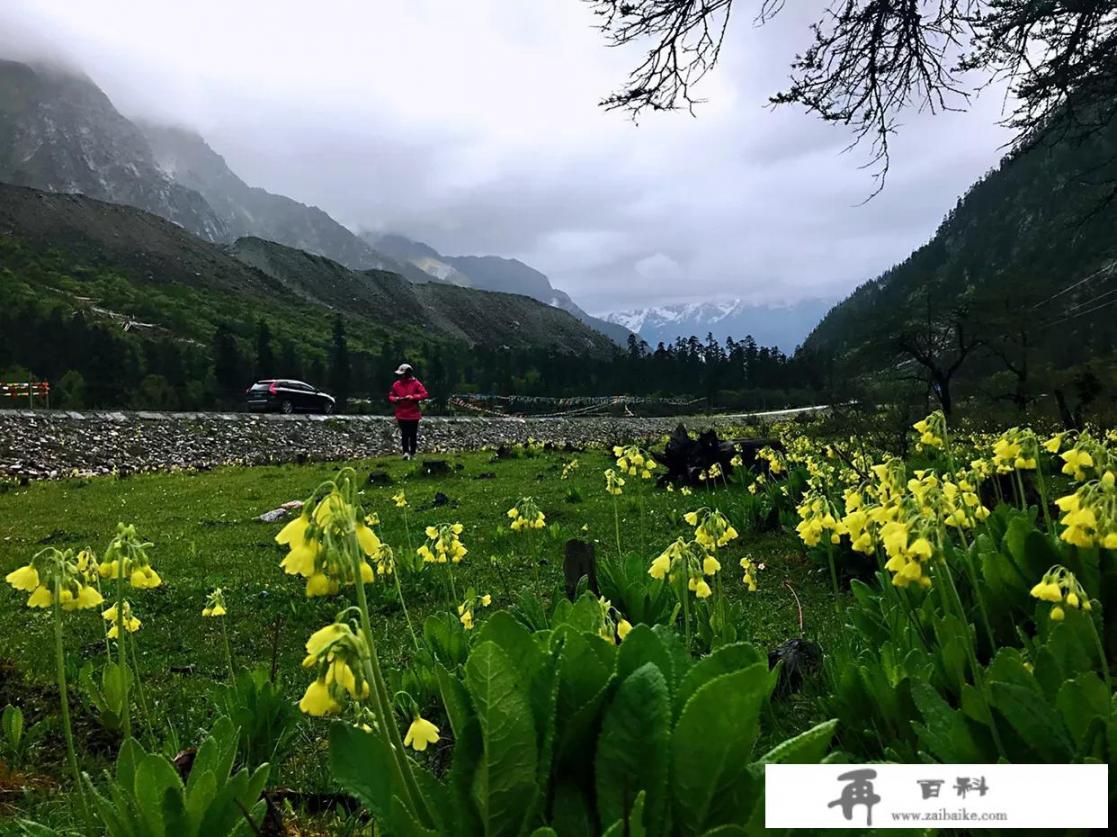 房车旅行的注意事项