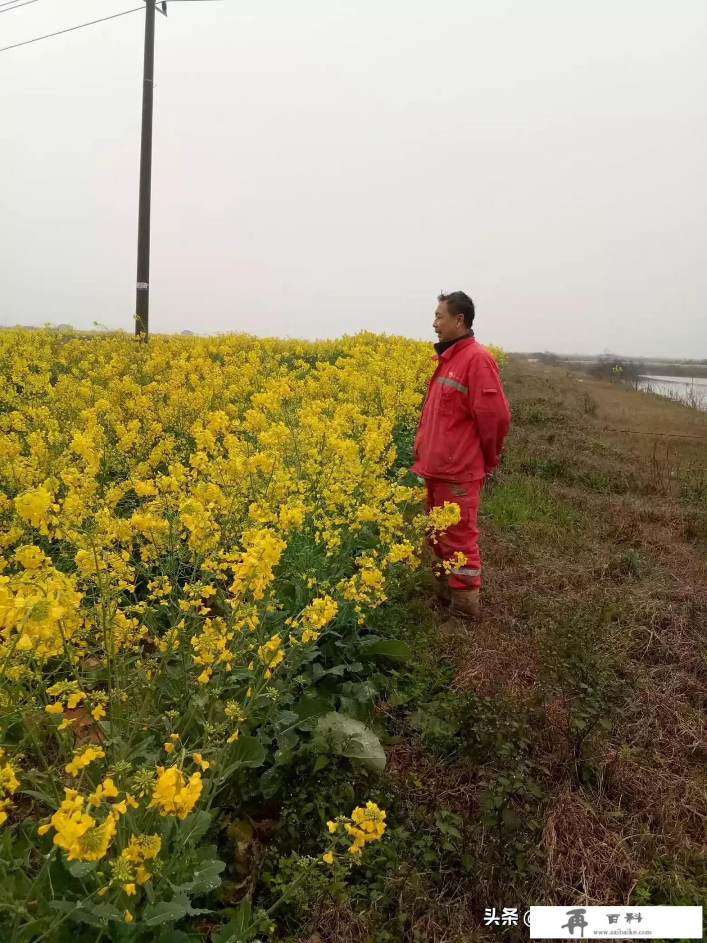 旅行中的风景，你觉得是用眼睛看对，还是拍照是对呀？你这趟旅行的意义是什么