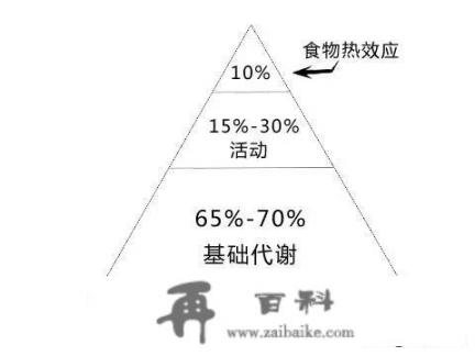 1个月坚持每天跑10公里能减肥吗？食物怎么吃？