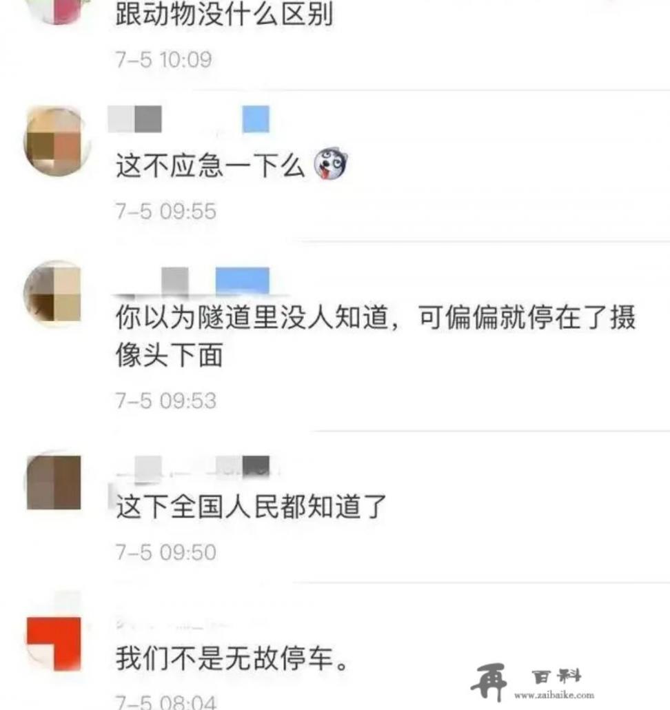 男主叫方斯奕的小说？