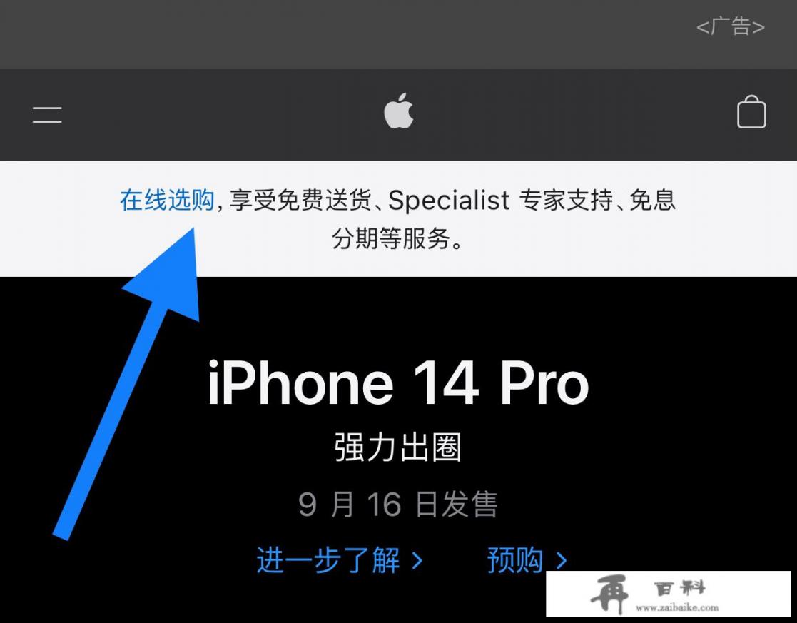 如何在Apple官网上购买商品？