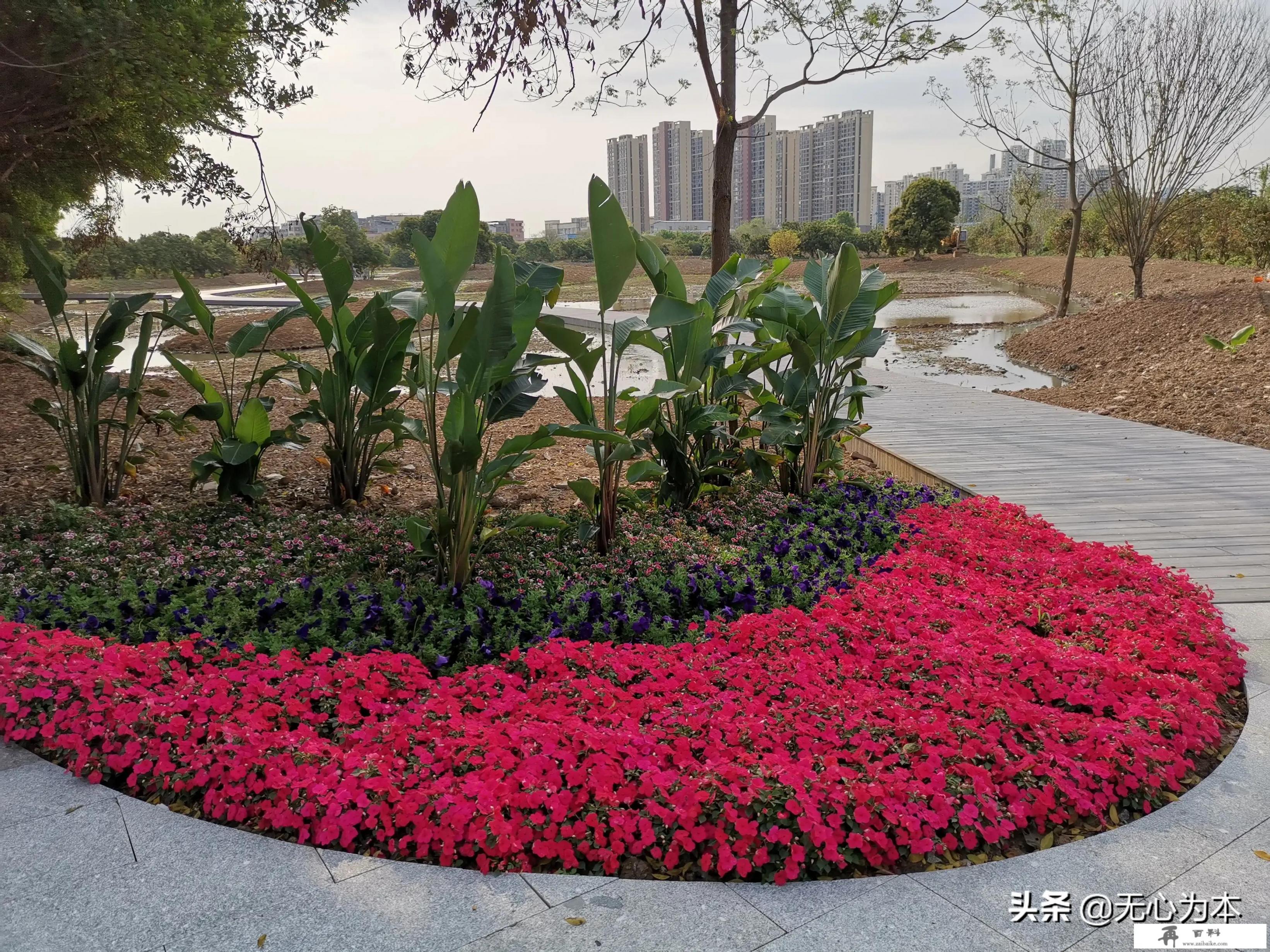 闲鱼上便宜的门票从哪来的？