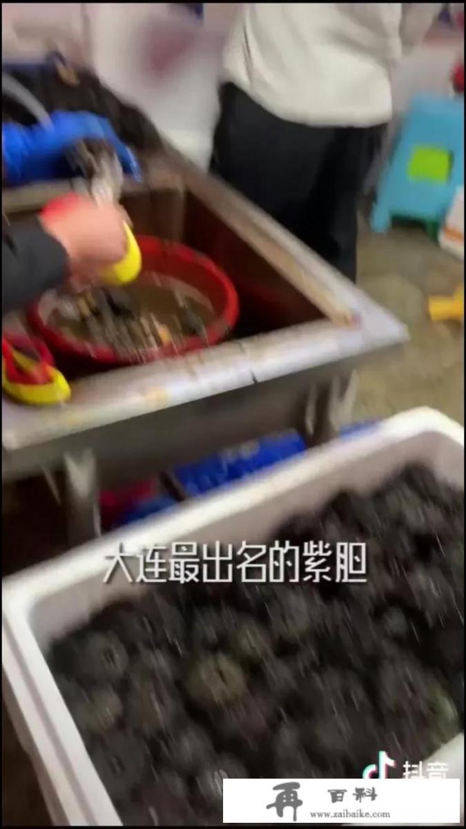 海胆等级怎么分？