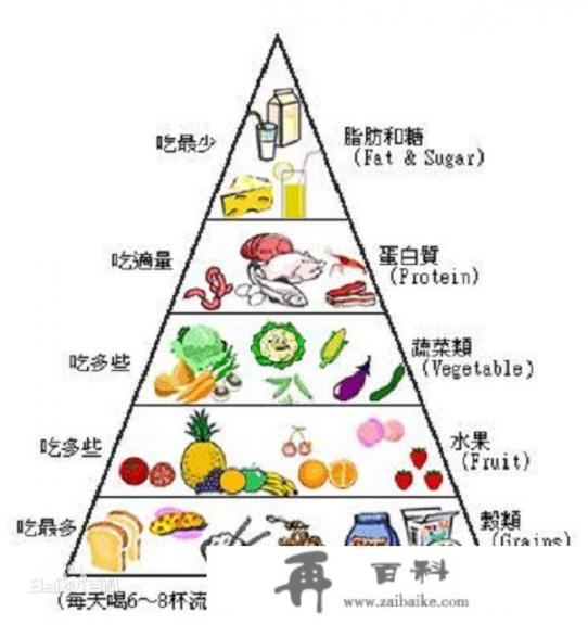 一个食物金字塔中最多只能有4~5个营养级，原因是什么？