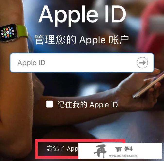 iphone 13怎么查id？