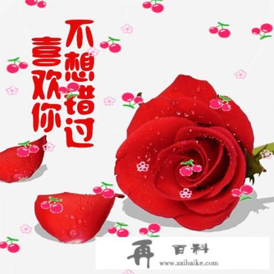 叶天林婉柔的小说叫什么名字？