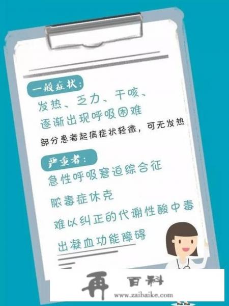 同济大学参观攻略？