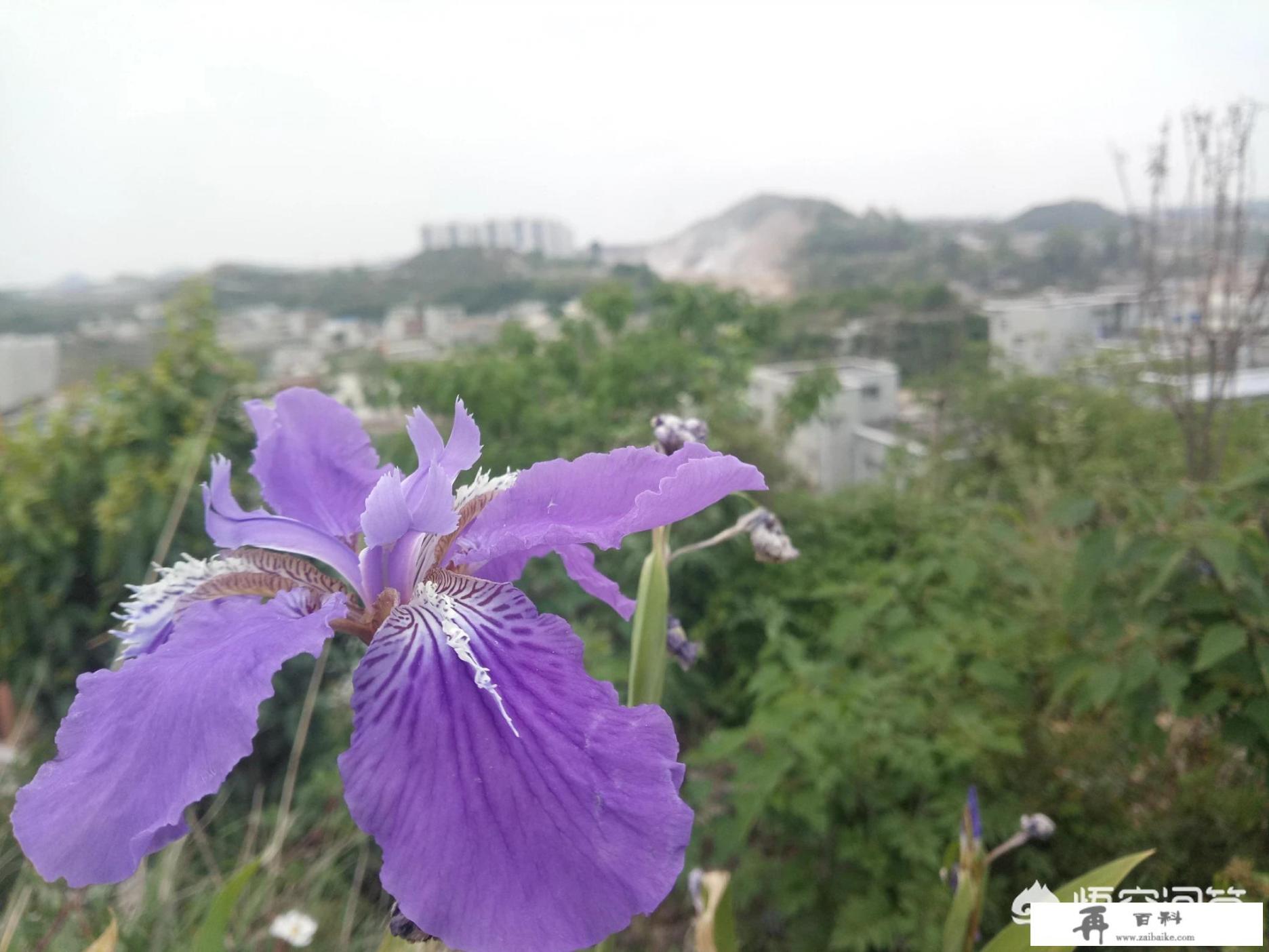 我们出去旅游，究竟要看什么？玩什么？要带着一种什么样的心态？