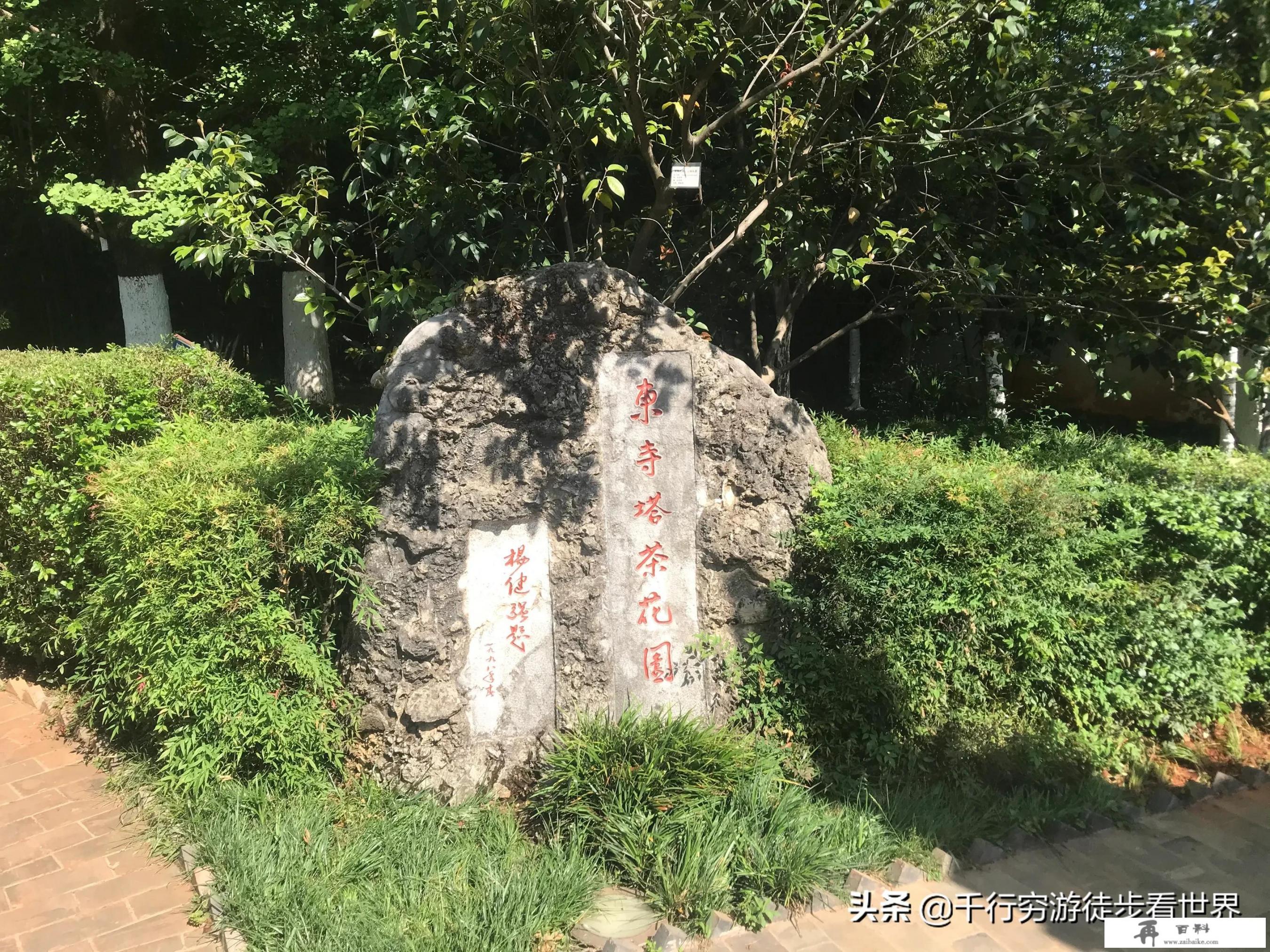 疫情期间，个人直接到目的地参团旅游可以吗？