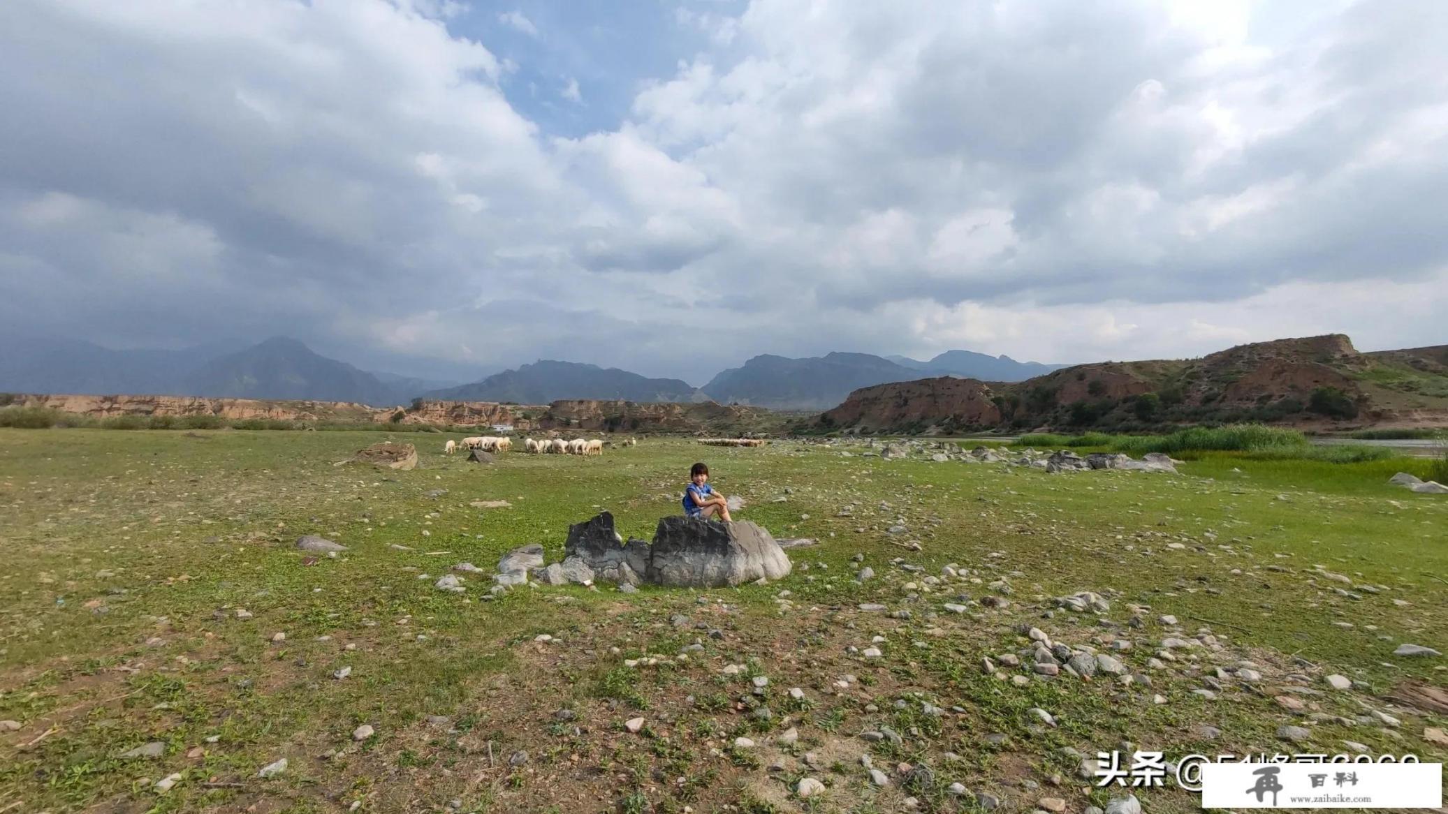 如果没有疫情的影响，今年你最想去哪里旅游，想和谁去？