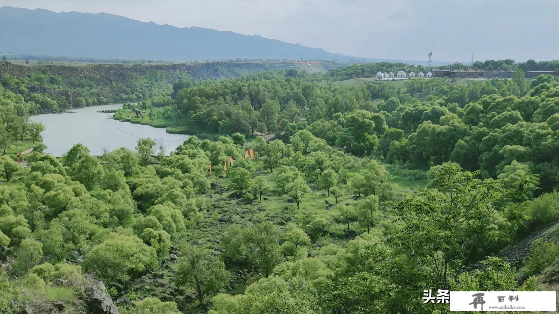 如果没有疫情的影响，今年你最想去哪里旅游，想和谁去？