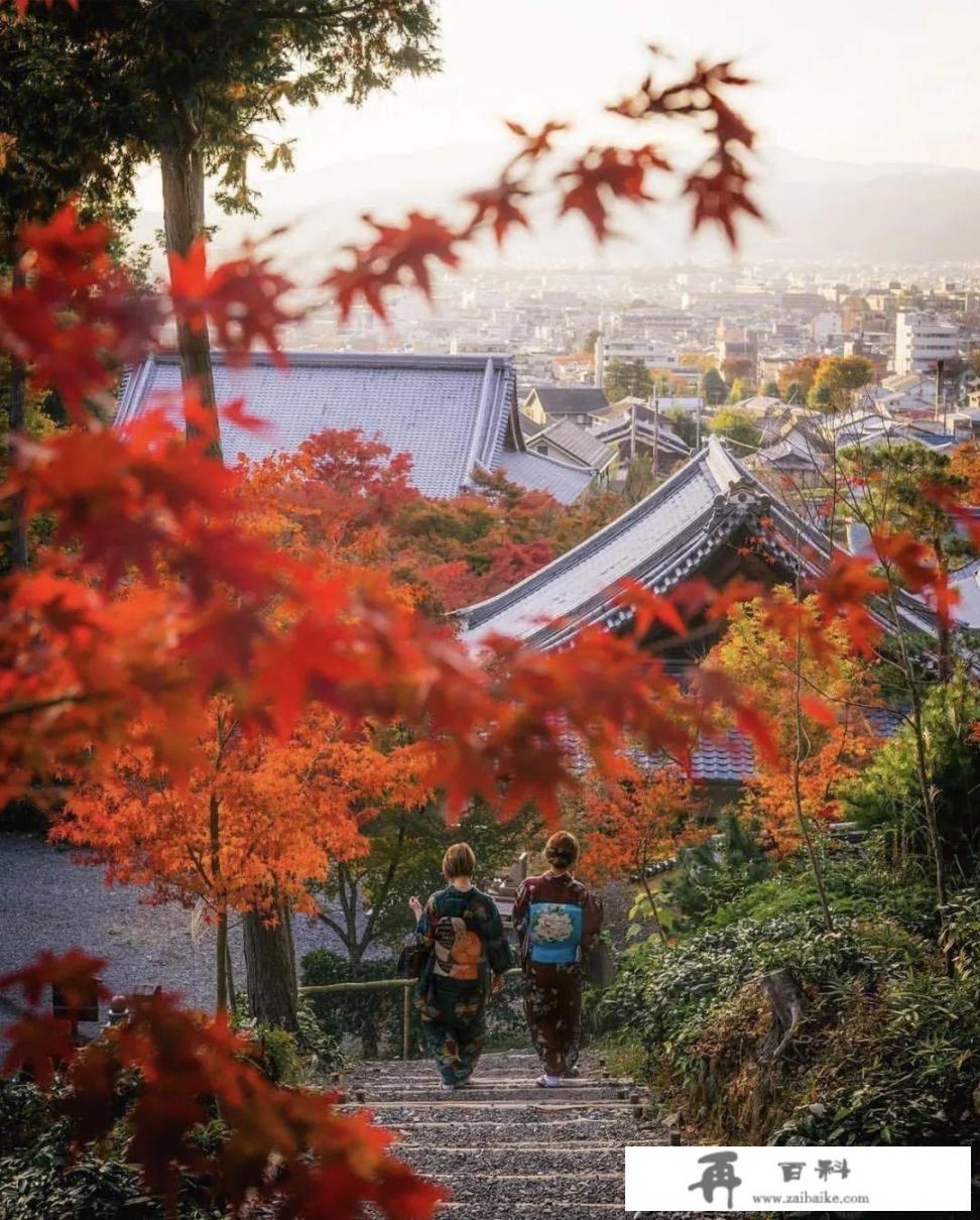 日本京都年均温度？