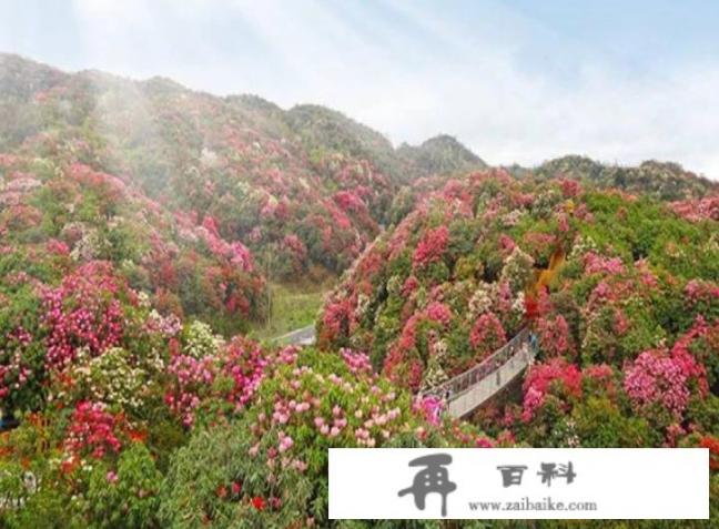 为什么贵州好山好水好风景，却知名度不高呢？