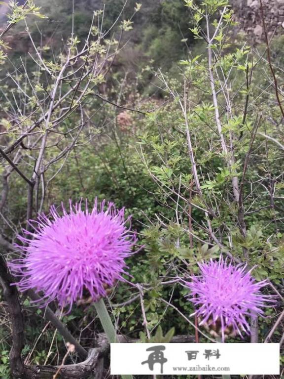 什么季节天气温度才适合外出旅游？