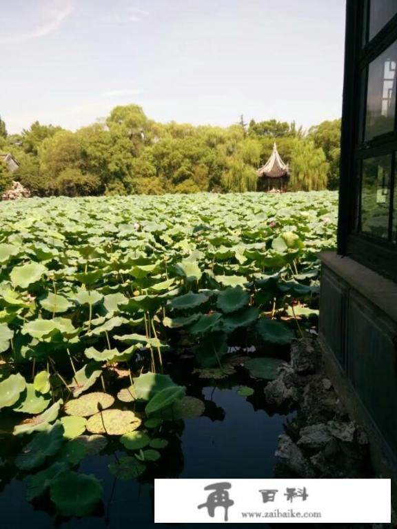 阳高泉森林公园旅游攻略