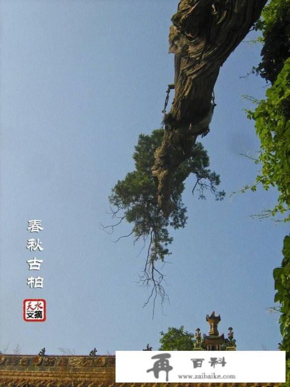 李白祖籍天水，杜甫流寓秦州，谁在天水更有名？