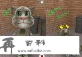 什么游戏可以让猫听懂人说话？