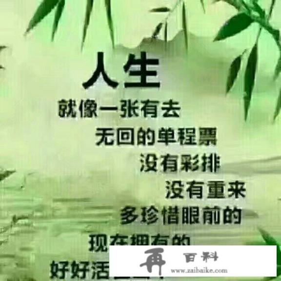 陆小蓉炎斌在什么小说里？