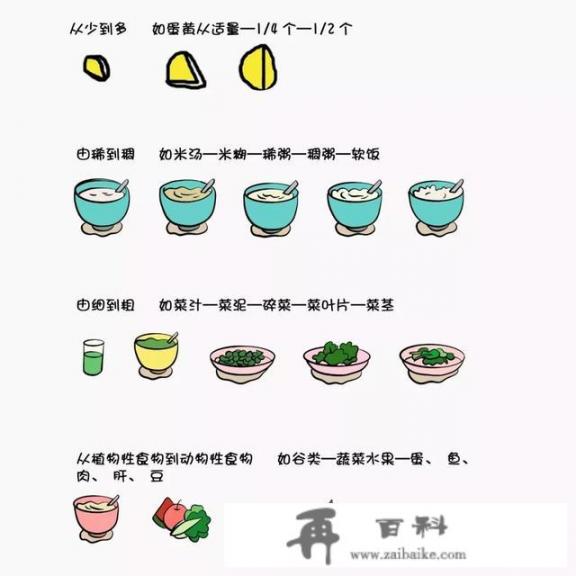 婴儿辅食添加顺序是什么？